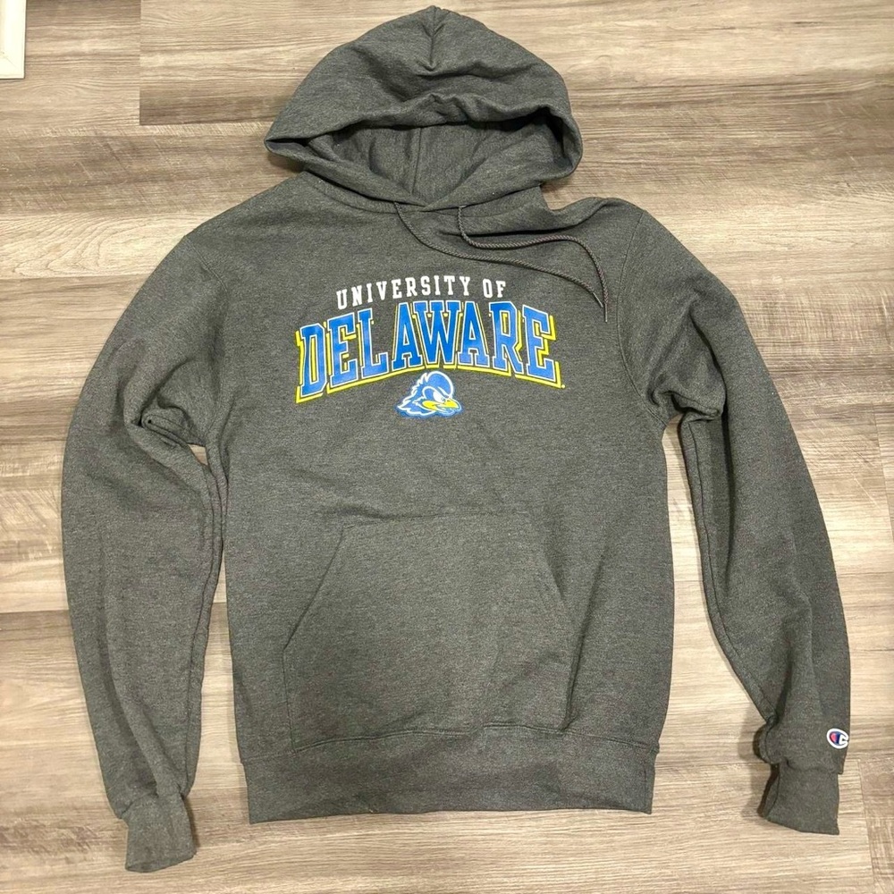 Delaware Champion Hooded Sweatshirt
